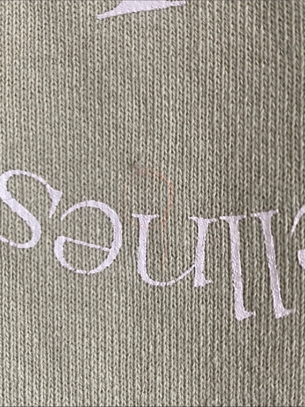 Sporty & Rich Wellness Club Sage Logo Crewneck Sweatshirt - Picture 4 of 8